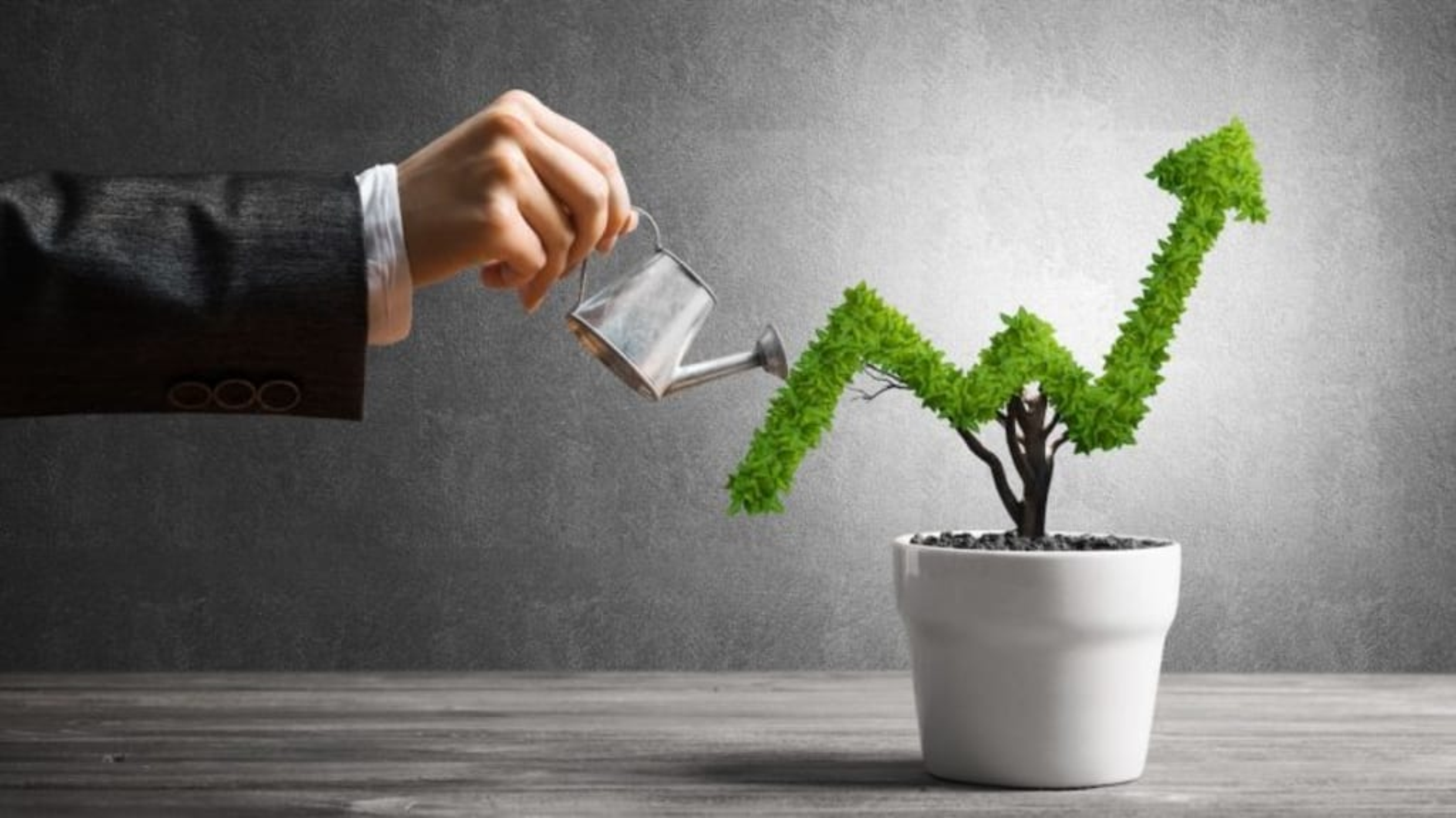 Start Smart with Low Investment